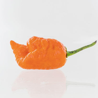Peach Mutant X Pepper Seeds - The Pepper Pantry (Formerly Marie Sharp's)